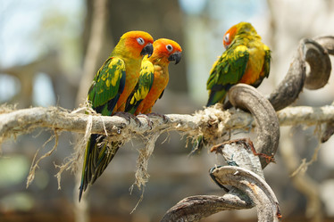 Similar image 21369150