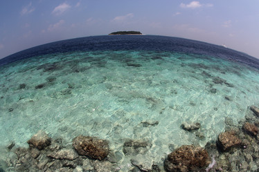 Similar image 21369154