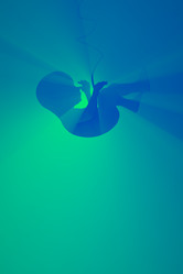 Similar image 21367381