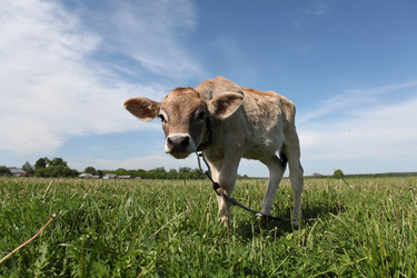 Similar image 21369155