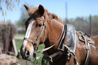 Similar image 21369156