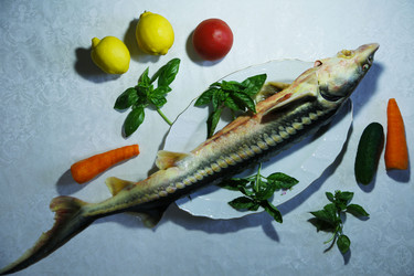 Similar image 21380320