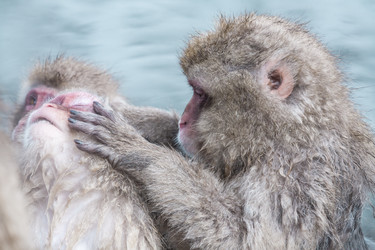 Similar image 21368291