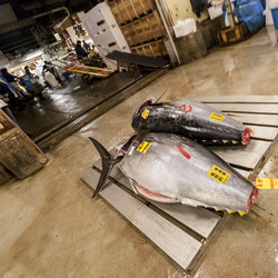 Similar image 21368294