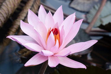 Similar image 21368295