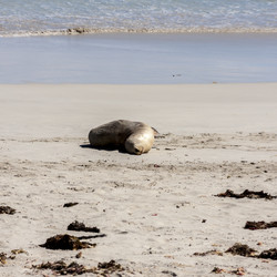 Similar image 21368298