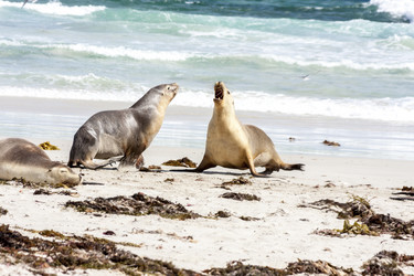 Similar image 21368300