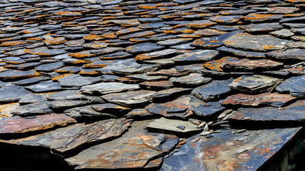 Similar image 21368311