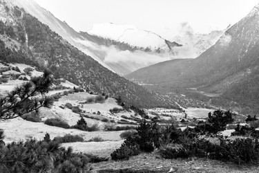 Similar image 21368319