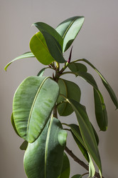 Similar image 21369170