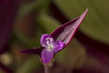 Similar image 21369171