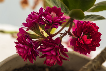 Similar image 21369173