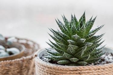 Similar image 21381498