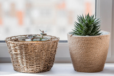 Similar image 21381524