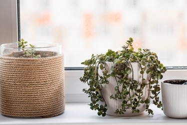 Similar image 21381525