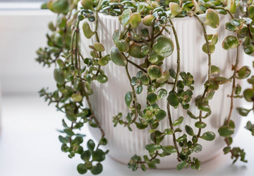 Similar image 21381527