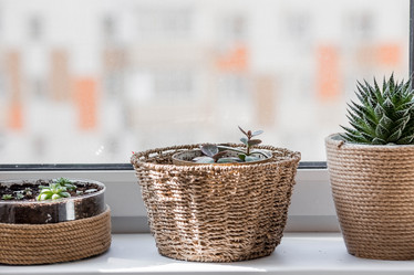 Similar image 21381528