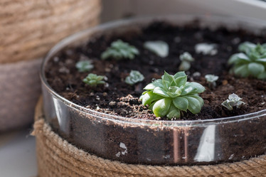 Similar image 21381532