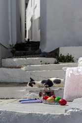 Similar image 21381592