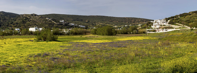 Similar image 21379126