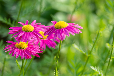 Similar image 21370070