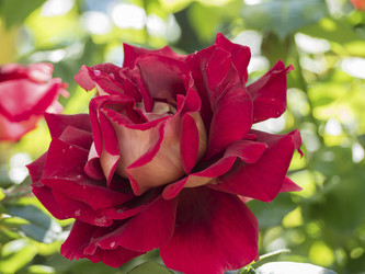 Similar image 21370073