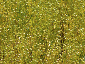 Similar image 21370077