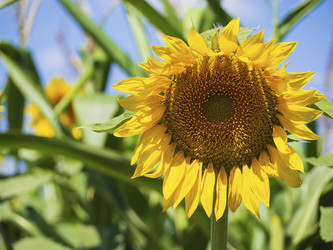 Similar image 21370078