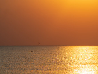 Similar image 21370079