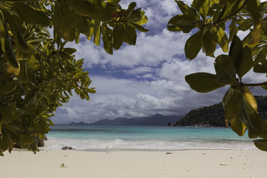 Similar image 21380324