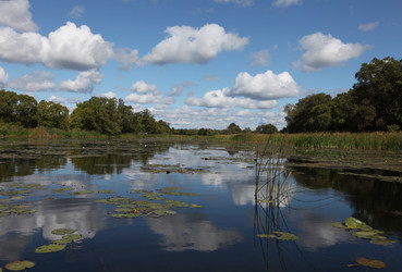 Similar image 21375621