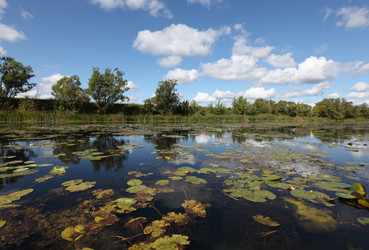 Similar image 21375623