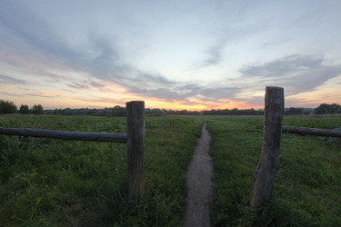 Similar image 21375624