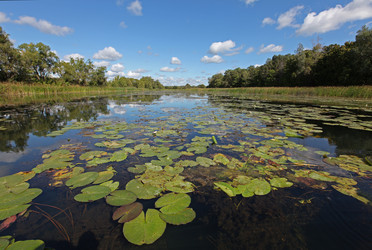 Similar image 21375626