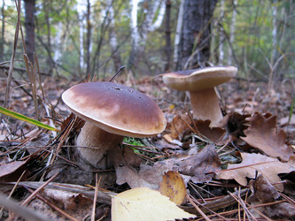 Similar image 21375628