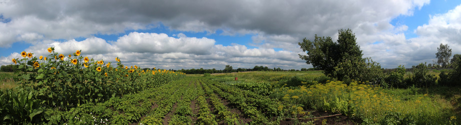 Similar image 21375630