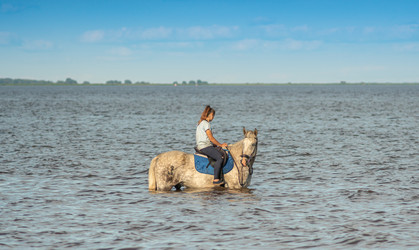 Similar image 21381598