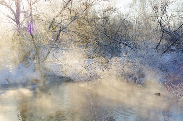 Similar image 21375650