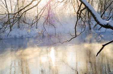 Similar image 21375652