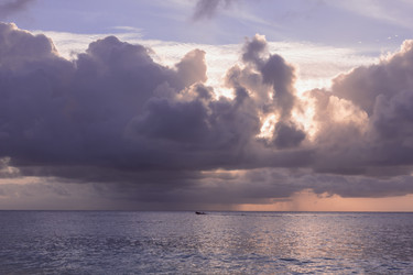 Similar image 21375655