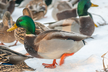 Similar image 21381954