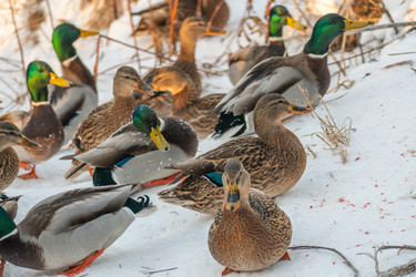 Similar image 21381955