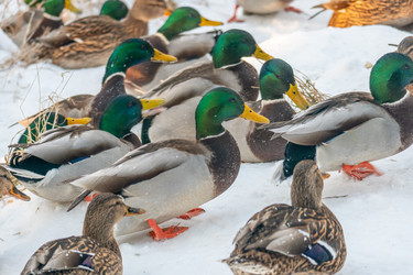 Similar image 21381958