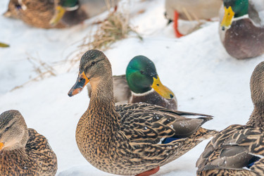 Similar image 21381959