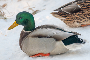 Similar image 21381966