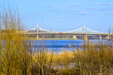 Similar image 21375659