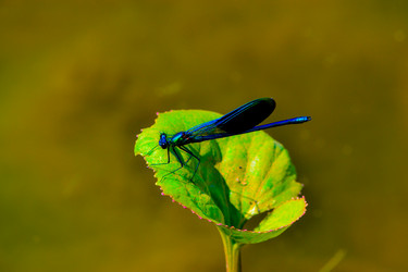 Similar image 21375664