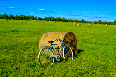 Similar image 21375666