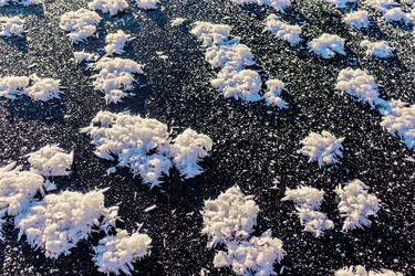 Similar image 21381605