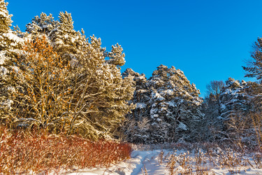 Similar image 21381616